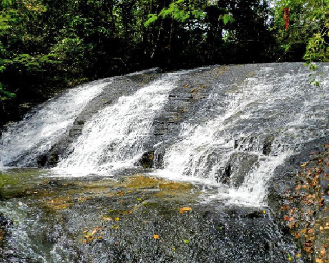 Cachoeira da Floresta