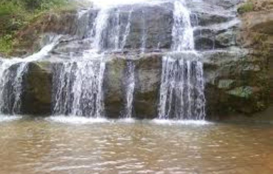 Cachoeira da Floresta Capturando a Magia das Águas