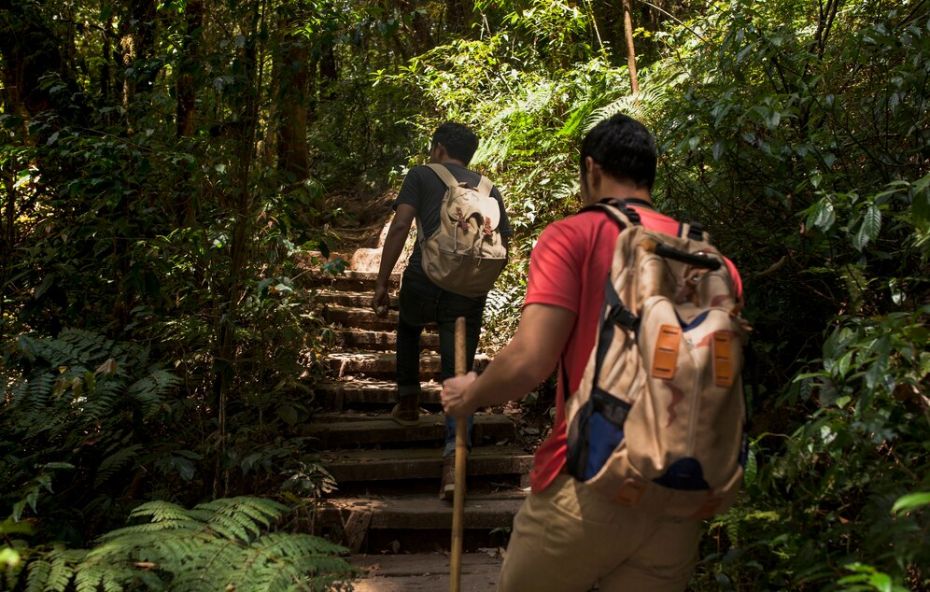 Experiências únicas de ecoturismo em Barra do Pirai