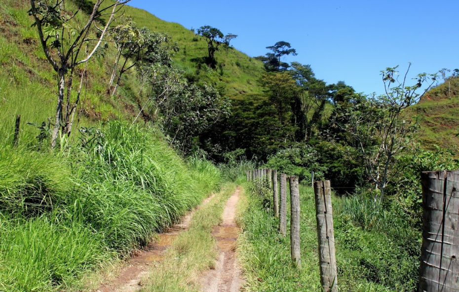 Túnel Velho de Ipiabas - 06