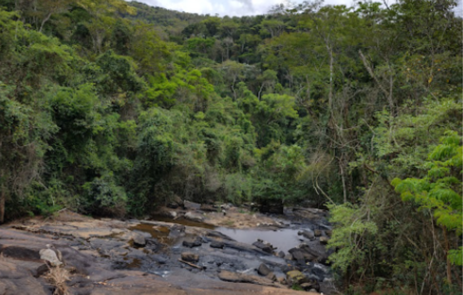 Cachoeira da Floresta - Ipiabas - 01