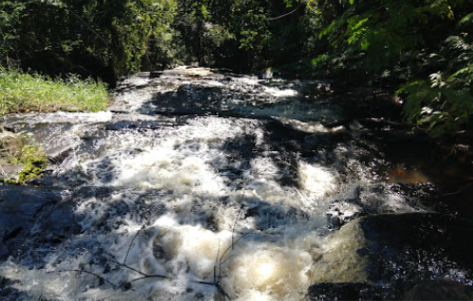 Cachoeira da Floresta - Ipiabas - 09