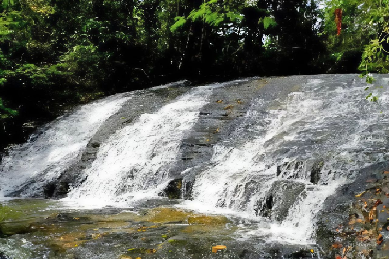 Cachoeira da Floresta Ipiabas - Barra do Piraí.