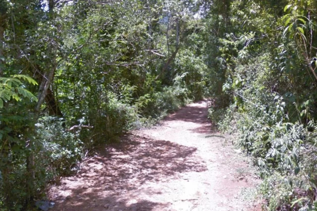 Trilha para chegar até a Cachoeira da Floresta - Ipiabas. Foto Carlos Jobs