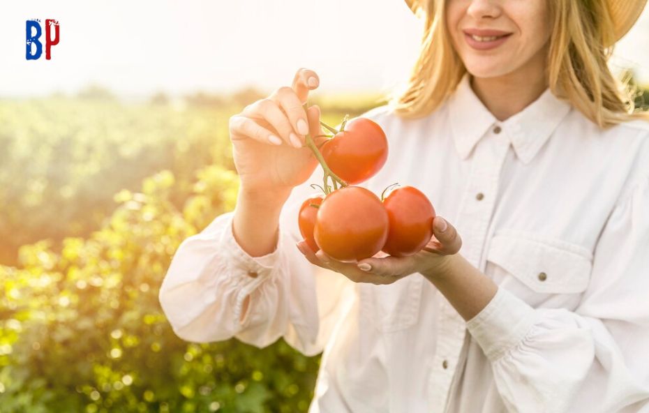 Como o turismo e a agricultura familiar podem fortalecer a economia de Barra do Piraí