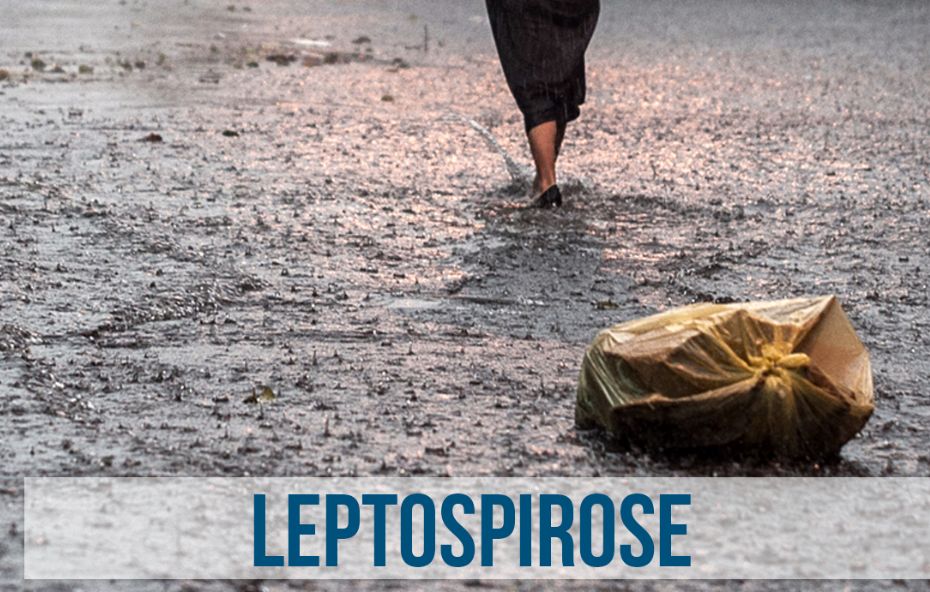 Como prevenir a Leptospirose em Barra do Piraí