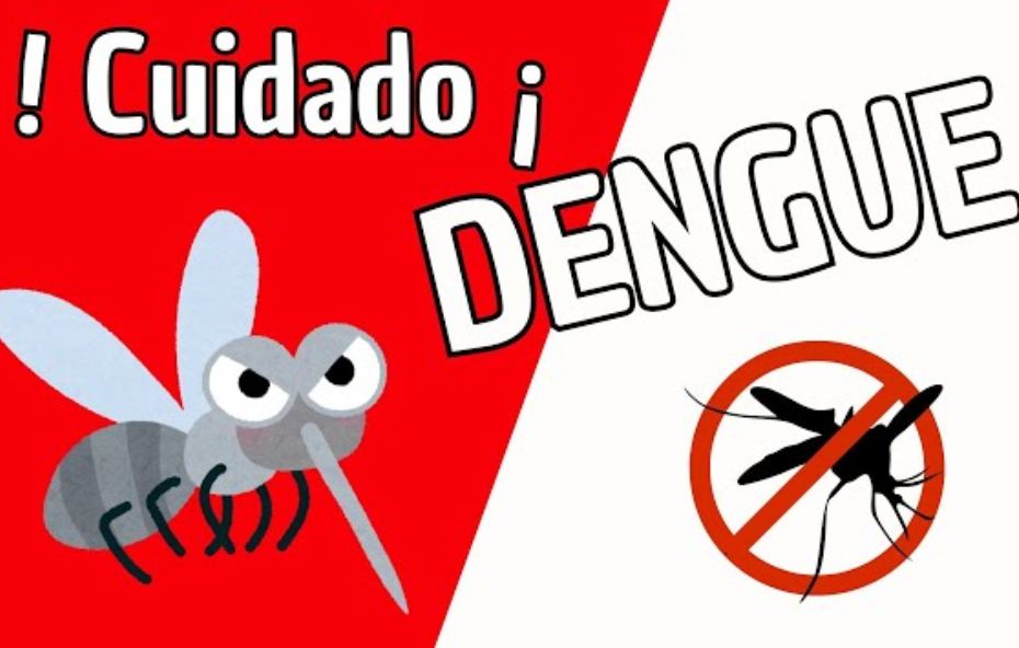 Como prevenir a dengue em Barra do Piraí