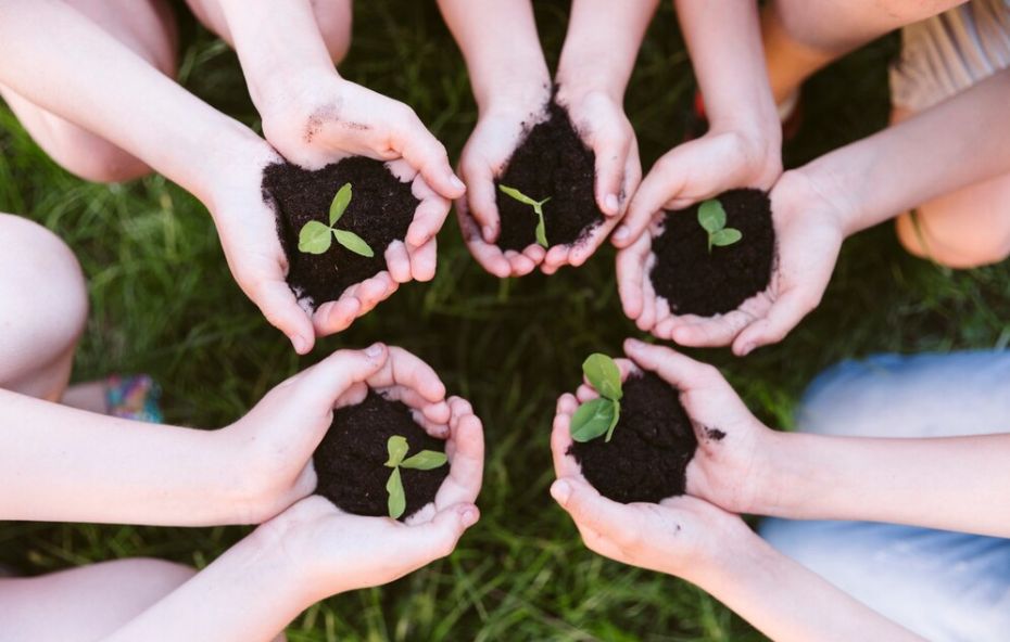 Curso Online de Educação Ambiental em Barra do Pirai