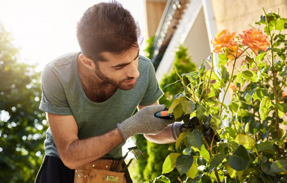 Curso Online de Jardinagem e Paisagismo em Barra do Piraí