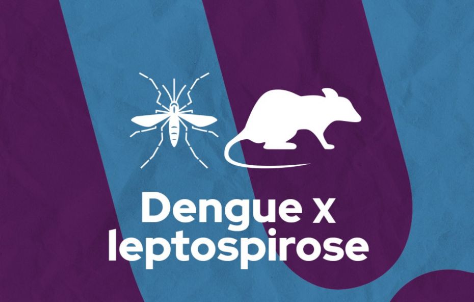 Dengue e Leptospirose Sintomas, Diagnóstico e Prevenção1