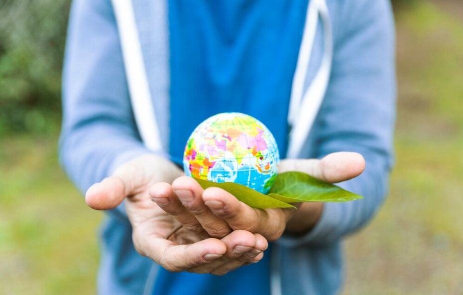 Curso Online de Direito Ambiental em Barra do Pirai